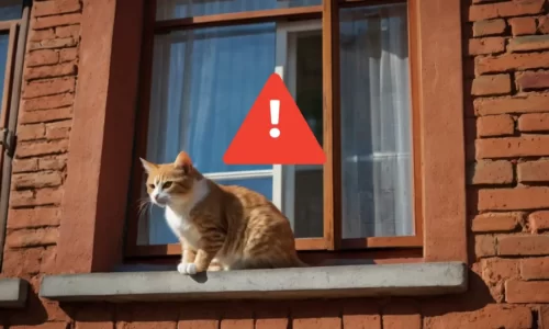 Você Está Fazendo Isso Errado! 7 Erros Comuns ao Adaptar Apartamento para Pets