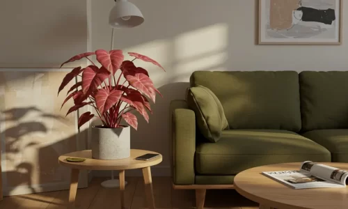Sua Sala Está Sem Vida? Estas 6 Folhagens Coloridas Trazem Cor, Estilo e Elegância